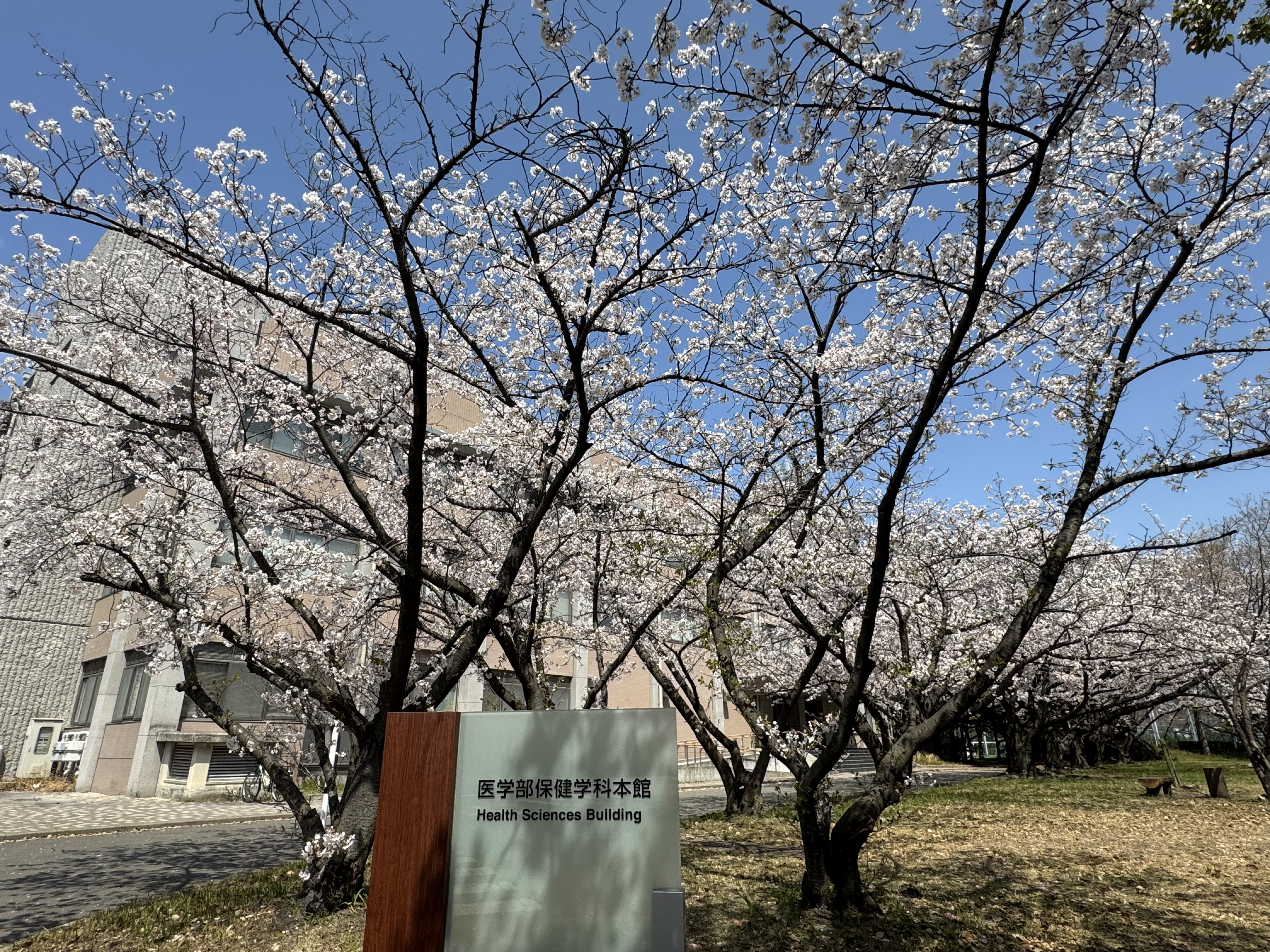 九州大学保健学学生支援基金