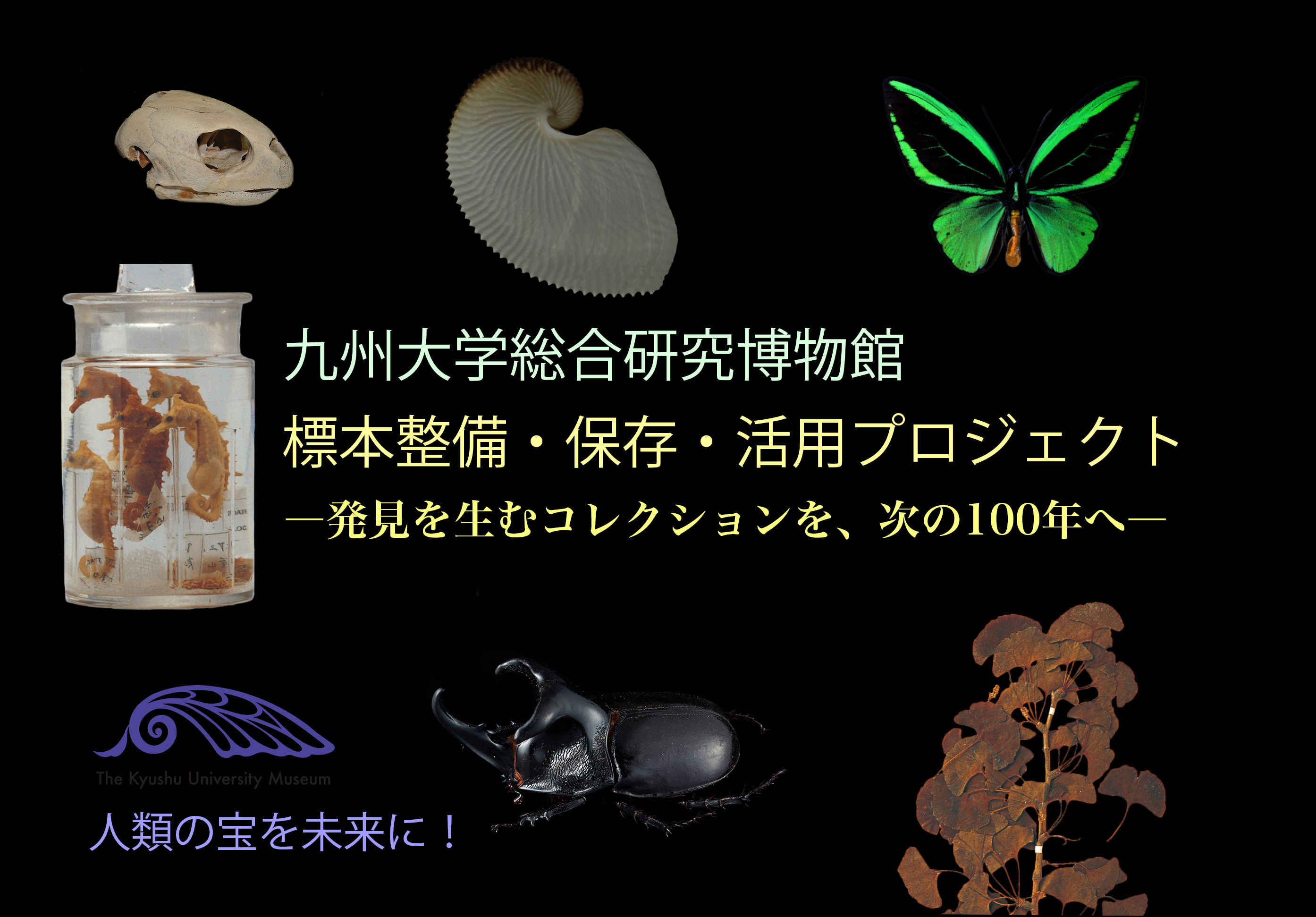 総合研究博物館　標本整備・保存・活用プロジェクト ―発見を生むコレクションを、次の100年へ―
